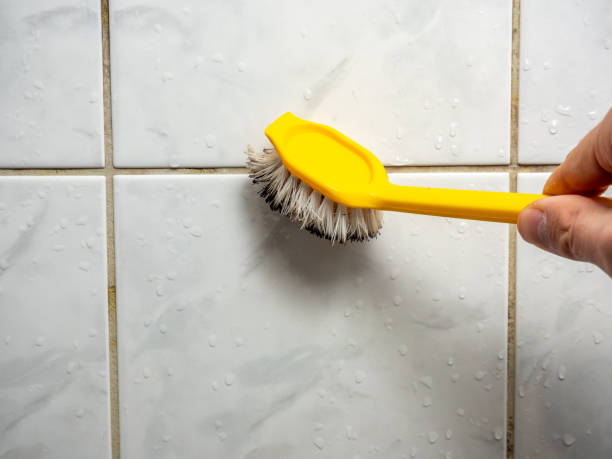 Best Mold Testing and Inspection Services in Bowling Green, OH