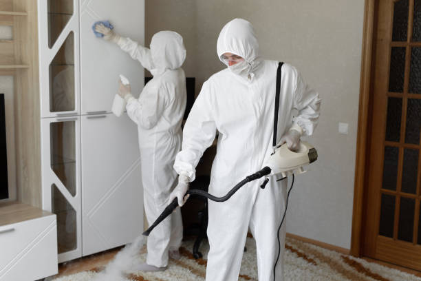 Best White Mold Remediation in Bowling Green, OH