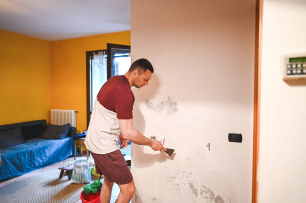 Best Residential Mold Remediation in Bowling Green, OH